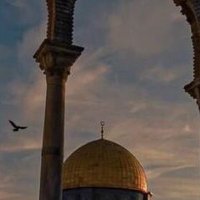 YasBal (@yasbal1) 's Twitter Profile