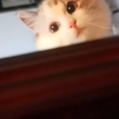 hsl28017347's profile picture. 