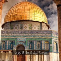 كـهـل ،، صغير السّّن (@mustafa_galal) 's Twitter Profile