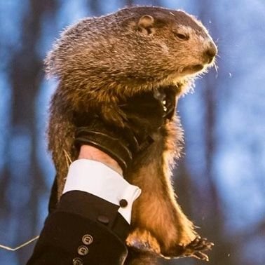 EdgeJeromy's profile picture. nuh uh