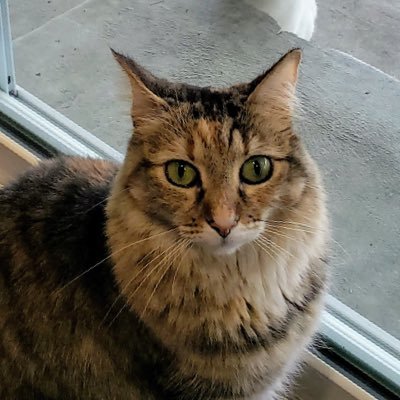 ckcharis23's profile picture. 