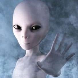 Gokano23's profile picture. ser una persona sana y sin vicio
libre de alcohol  Zero drogas
y Zero tabaco