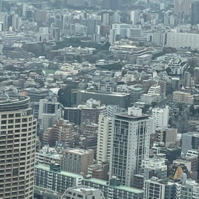 code29960930's profile picture. 