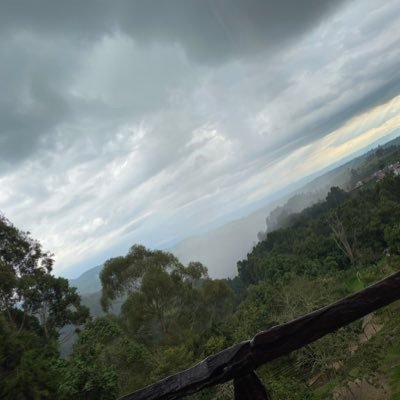 juceco50's profile picture. 