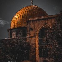 𝒜 ℬ ℰ ℰ ℛ ✯🦋🇰🇼 (@abeerkhale23) 's Twitter Profile
