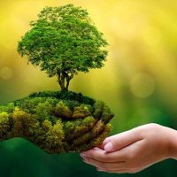 Nature7- (@nature715) 's Twitter Profile