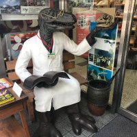 Tomoko M (@tomokom22445011) 's Twitter Profile
