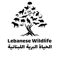 Lebanese Wildlife(@LebWildlife) 's Twitter Profile Photo