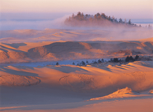 The Oregon Dunes on the Central Oregon Coast are the highest coastal dunes in North America.  Great experiences are found in the Oregon Dunes Nat Rec Area.