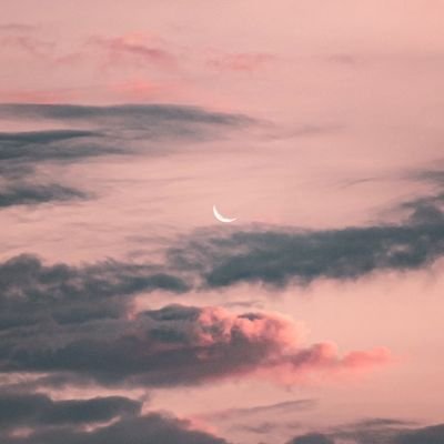 @revszy