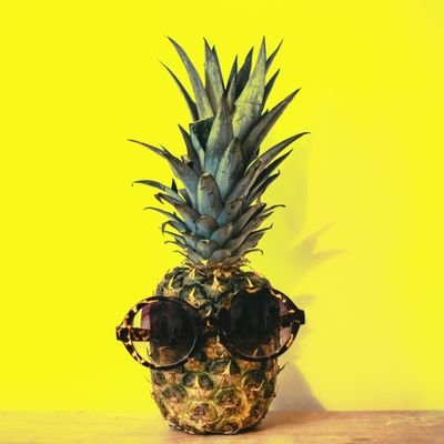 CryptoGoggle's profile picture. New account to document my crypto journey 🚀