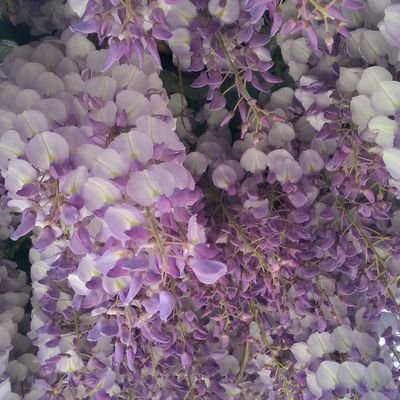 akkuzu_nur's profile picture. 🤲