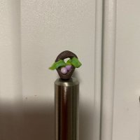 Cryptociga (@cryptociga) 's Twitter Profile