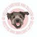 Bella's Boutique (@bellasdogwalks) Twitter profile photo Bella's Boutique (@bellasdogwalks) Twitter profile photo
