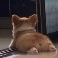 是丞不是橙 (@hdhvqccsvkatas0) 's Twitter Profile