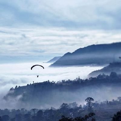 PDL8iXnXOTPTWwR's profile picture. لا تفكر في الأمر بشكل عميق للغاية، فقط تعامل مع الأمر بمرح