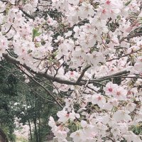 ちくわの中身を覗いてしまった (@xfhxr6hcw9u9xfh) 's Twitter Profile
