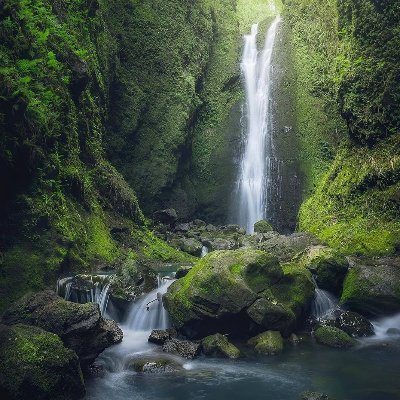 Rustm20841245's profile picture. 