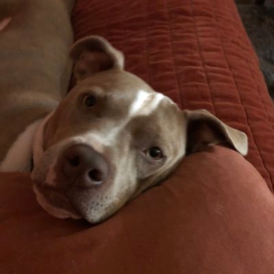 BeataS14159817's profile picture. 