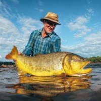 Marcelo Perez (@jungleangler) 's Twitter Profile