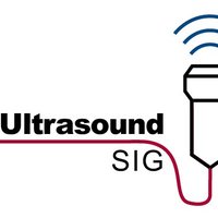 MICCAI SIG Ultrasound (@sigultrasound) 's Twitter Profile