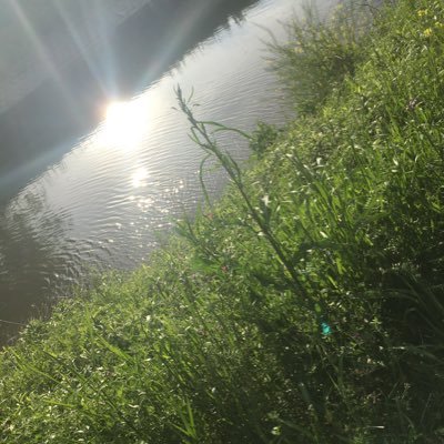 layDqJjW9ejbDt5's profile picture. あ