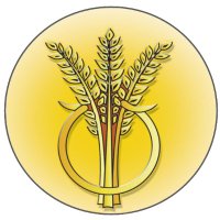 Ringshall Primary School (@ringshallps) 's Twitter Profile