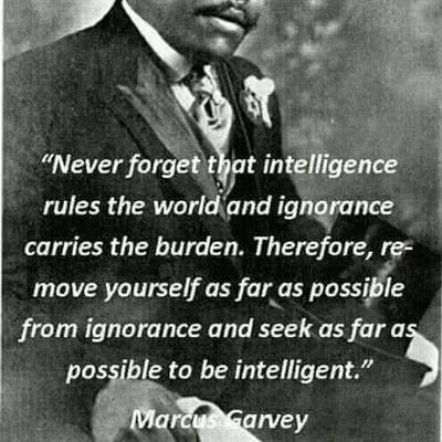 reythelion's profile picture. live and Learn