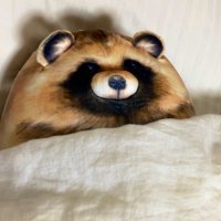 ことぶき (@kmtktbk) 's Twitter Profile Photo ことぶき (@kmtktbk) 's Twitter Profile Photo