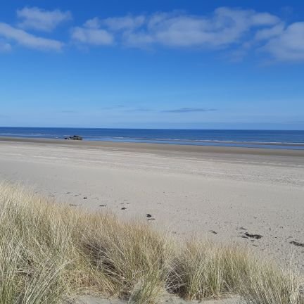 KatieLaaLaa's profile picture. Culinary arts lads!