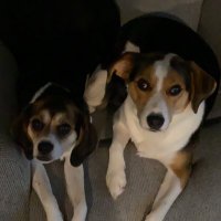 Brett Bellamy (@brettbellamy3) 's Twitter Profile