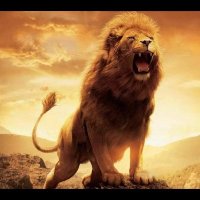 Ammar khan (@ammar2jan) 's Twitter Profile
