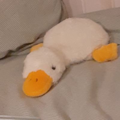 JackLeDuck's profile picture. best duck in the planet ykyk