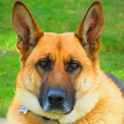 DonnaW06060827's profile picture. conservative from the great Shenandoah Valley