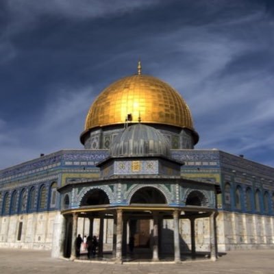 SalmanDavoodi's profile picture. 