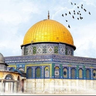 tkdjawad's profile picture. Cryptotrader