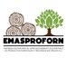 Emasproforn (@emasproforn) Twitter profile photo