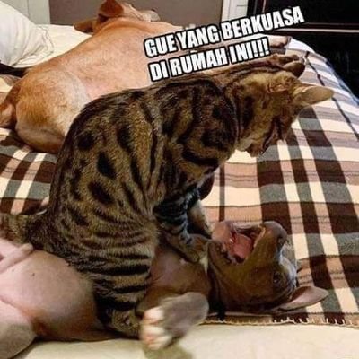 Zaxis08615610's profile picture. 