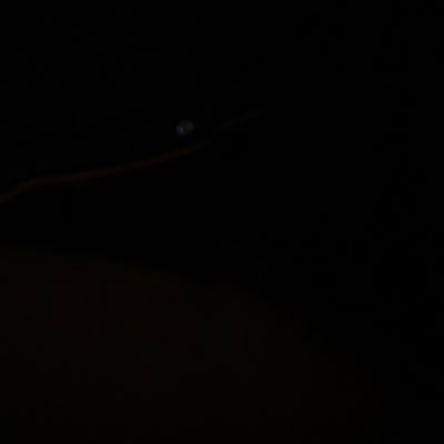 SkizzoBarrz's profile picture. New Profile Music Promo