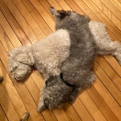 bethleeth's profile picture. 