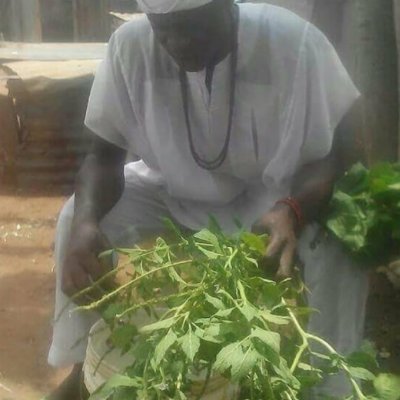 I am a herbal healer visit my website https://t.co/il0m2HIpgd