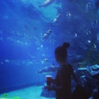 Mya Hnin (@myahninmyanmar) 's Twitter Profile