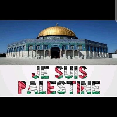 ThieneAmadou2's profile picture. 