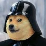 DogeNation12's profile picture. Dogecoin Based! Current News, Memes, Updates, and anything related to Dogecoin! 🐕🚀 My names Conner Dietz btw!