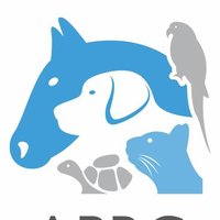 APBC(@Official_APBC) 's Twitter Profile Photo