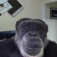 Patz (@codepatz) 's Twitter Profile