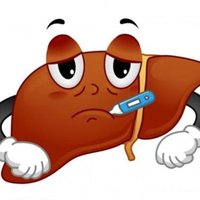TEAMLIVER@UHNM (@teamliveruhnm1) 's Twitter Profile