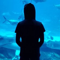 David (@david39465841) 's Twitter Profile