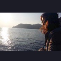Diane Cohn 🌸 (@dianecohn68) 's Twitter Profile