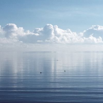 ooo_Red_ooo's profile picture. 